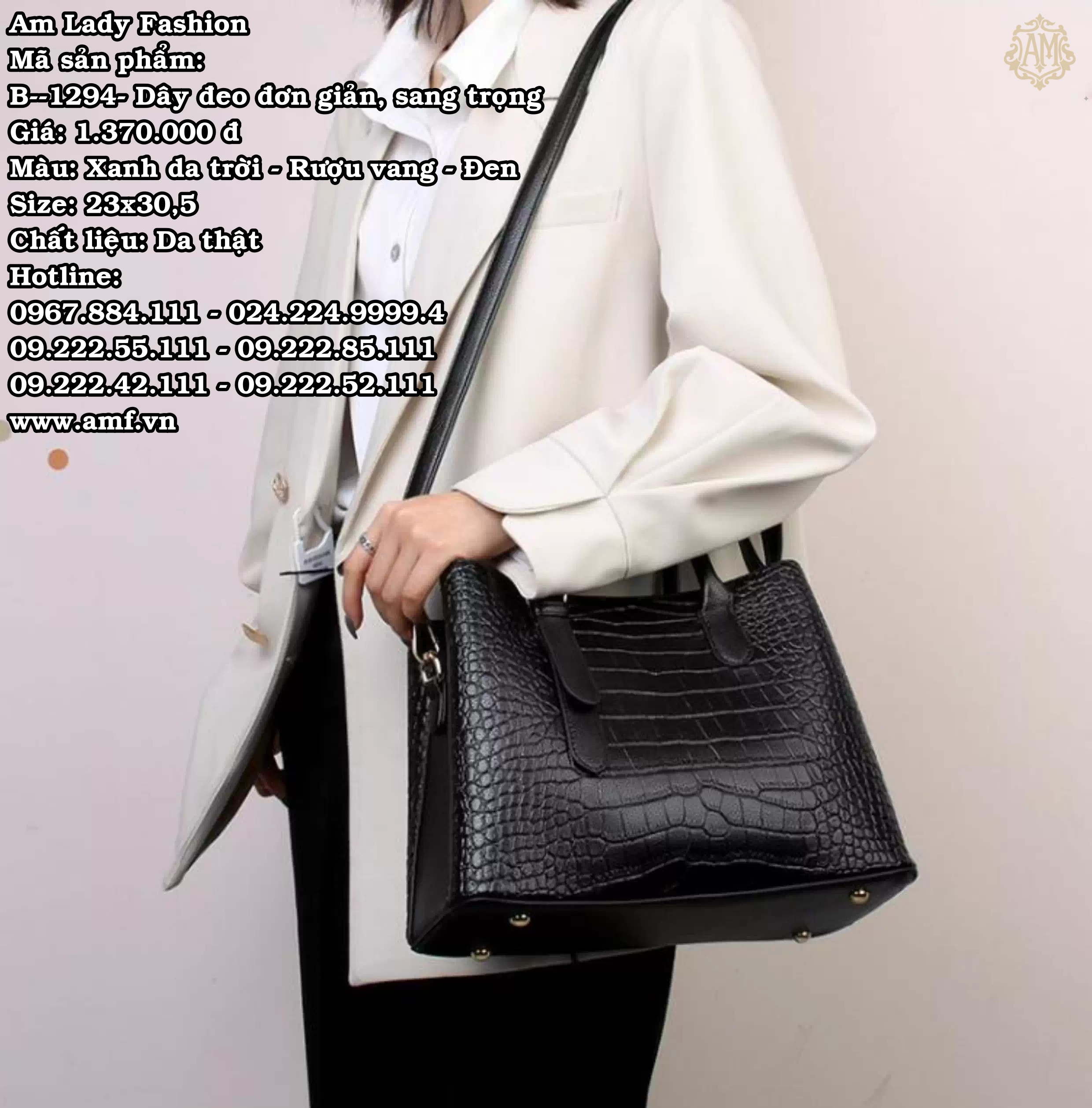 B--1294 - Ảnh 3