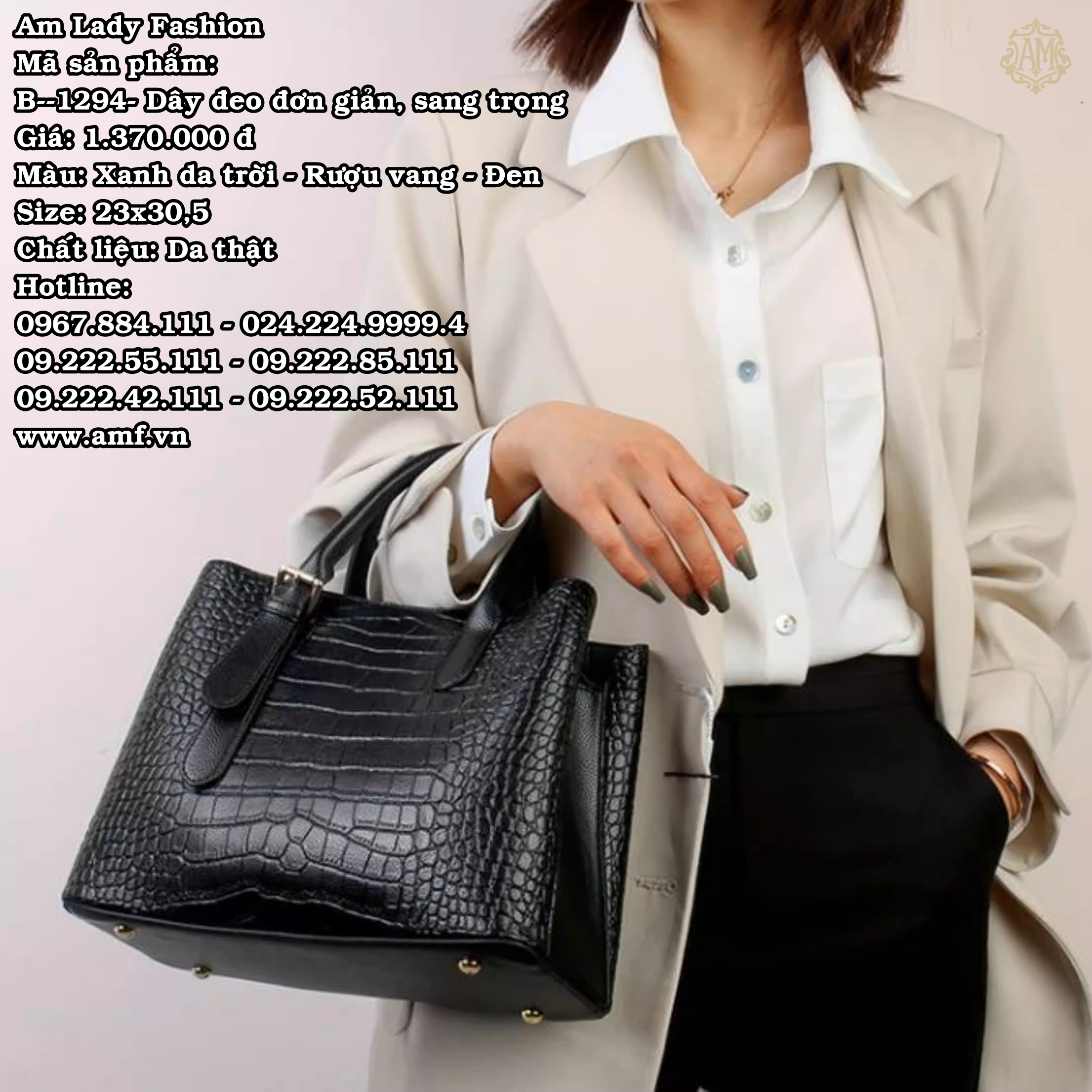 B--1294 - Ảnh 5