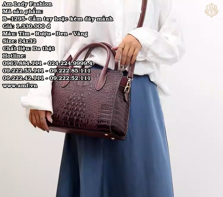 B--1295 - Ảnh 3