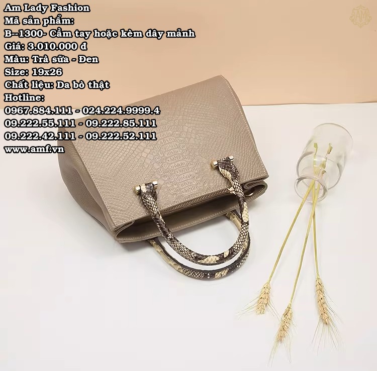 B--1300 - Ảnh 2