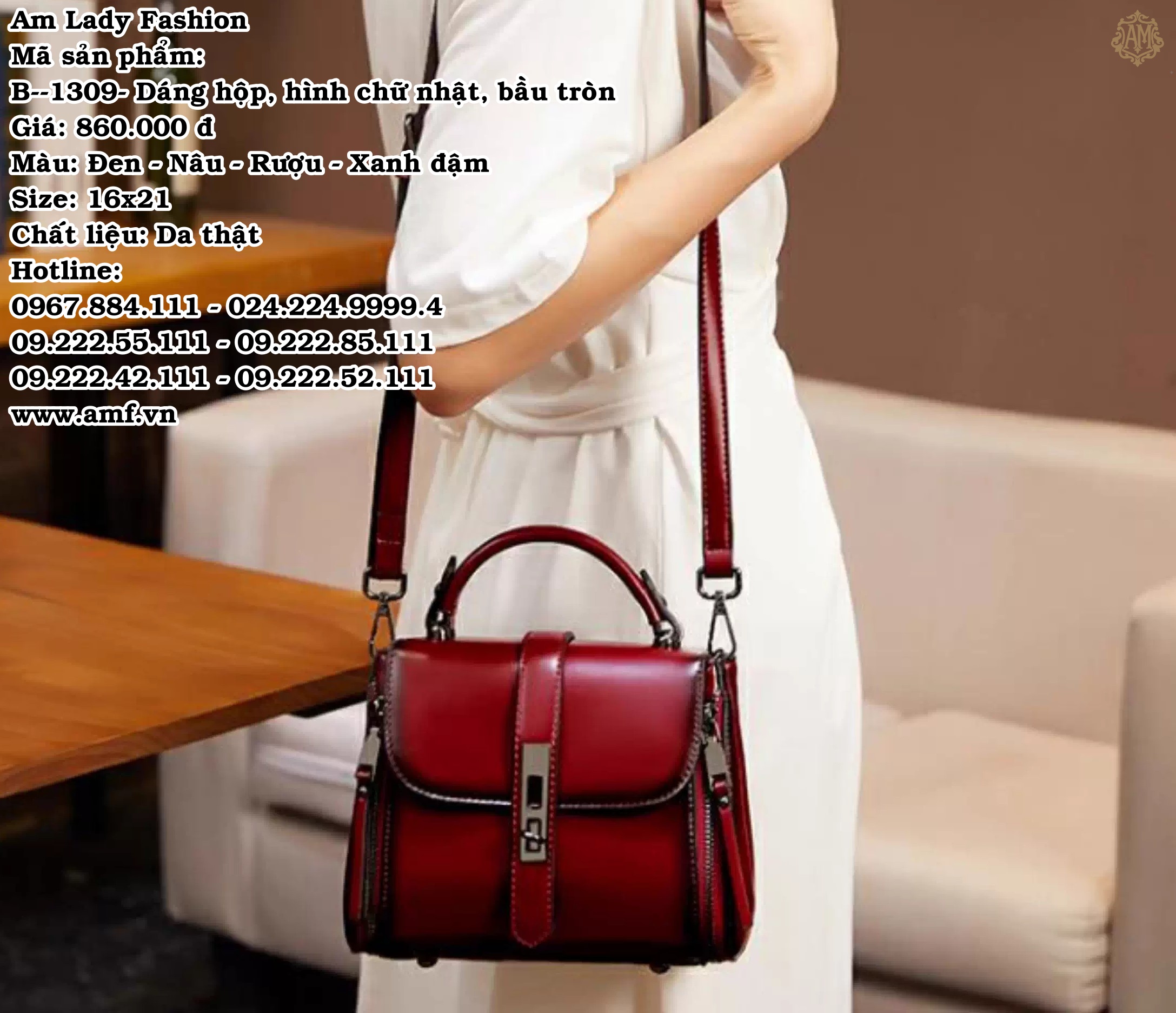 B--1309 - Ảnh 5