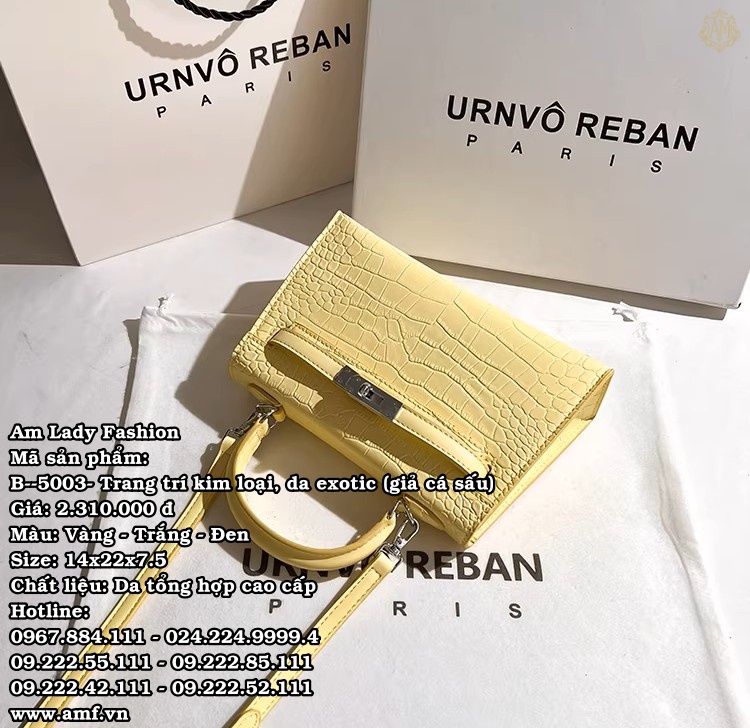 B--5003 - Ảnh 2